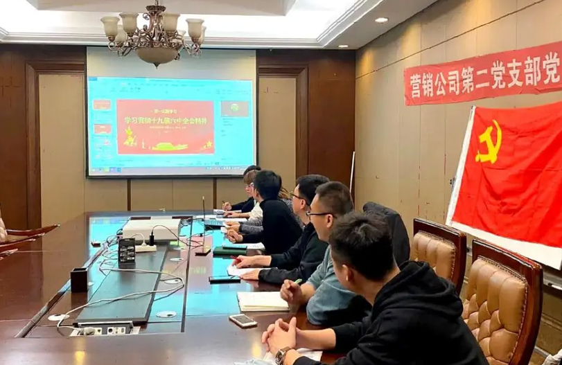 【星级党组织创建】创五星级党支部工作经验分享之南宫28NG相信品牌力量营销第二党支部