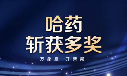 【喜讯】万象启，开新局，南宫28NG相信品牌力量斩获多枚奖项